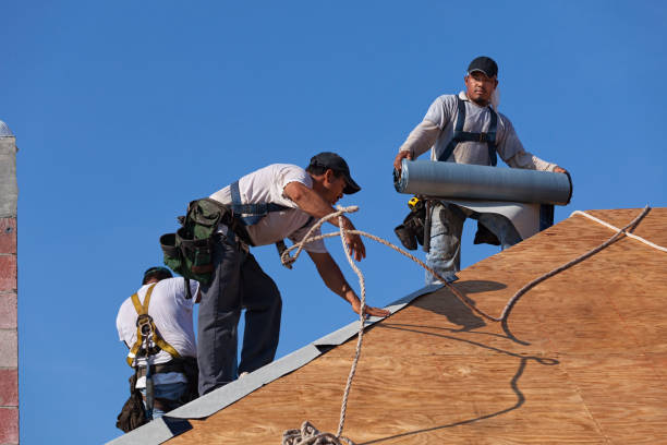Best Local Roofing Companies  in Knob Noster, MO